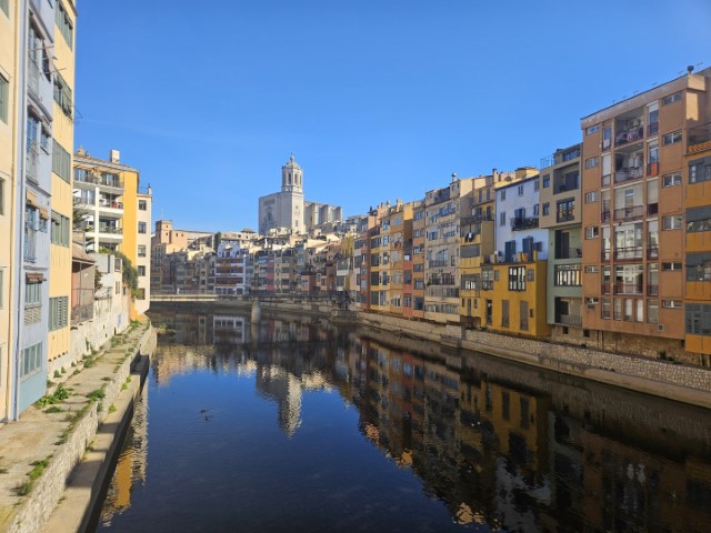20260224_102612.jpg